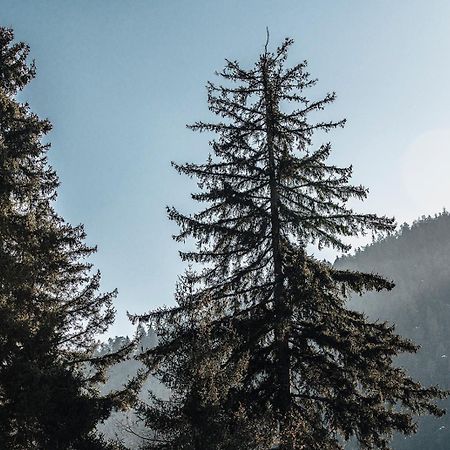 Roombox Likani Borjomi Exterior foto